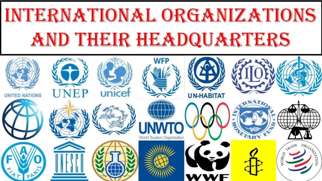 Protecting Paradise: International Organizations in Caribbean Conservation
