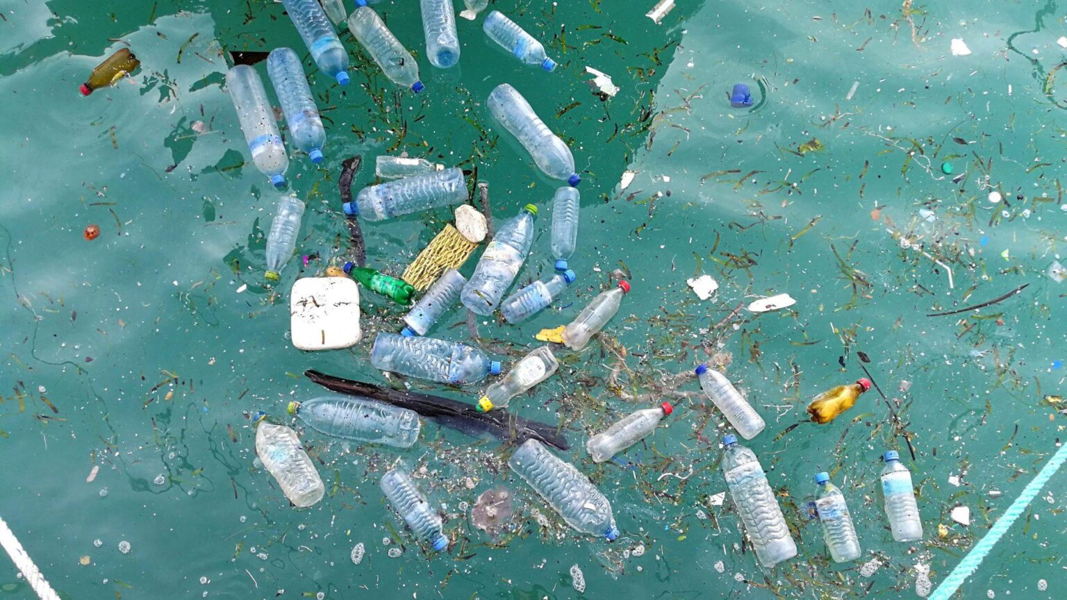 Confronting Plastic Pollution: Challenges in Caribbean Waters