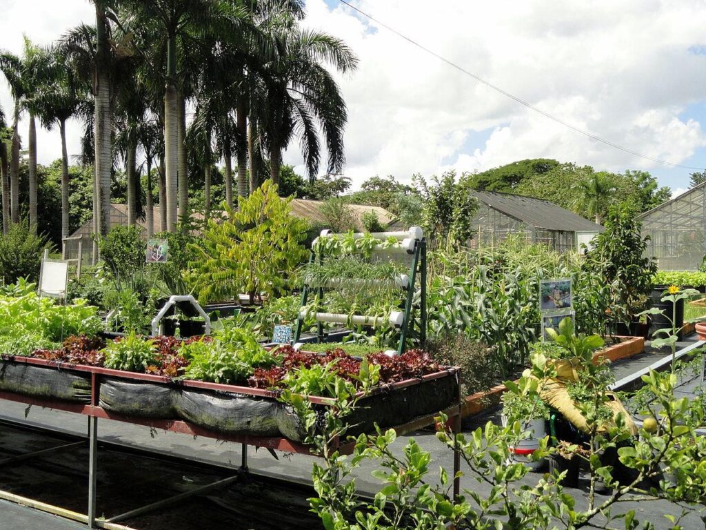 Unlocking Profit: Investment Opportunities in Caribbean Farmland