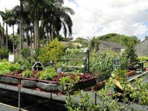 Unlocking Profit: Investment Opportunities in Caribbean Farmland Unlocking Profit: Investment Opportunities in Caribbean Farmland