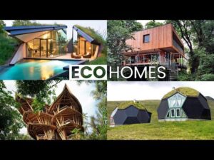 Rising Demand for Eco-Friendly Homes in the Caribbean