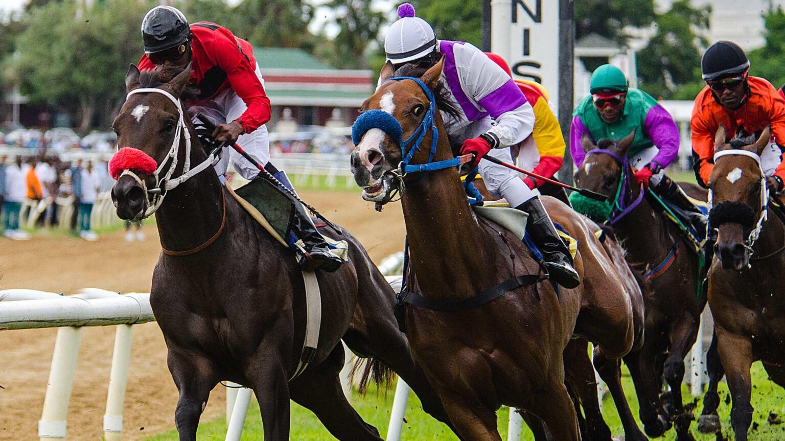 Exploring Caribbean Horse Racing: Top Tracks and Events