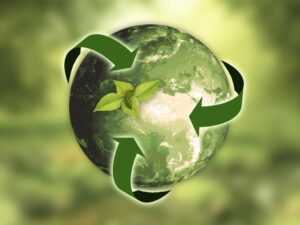 Embracing Sustainability: A Guide for Caribbean Businesses