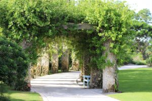 Discover Caribbean Gardening: A Fun Hobby and Food Source