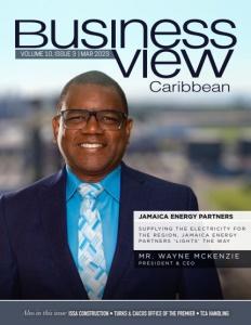 Transforming Caribbean Business: The Power of Technology
