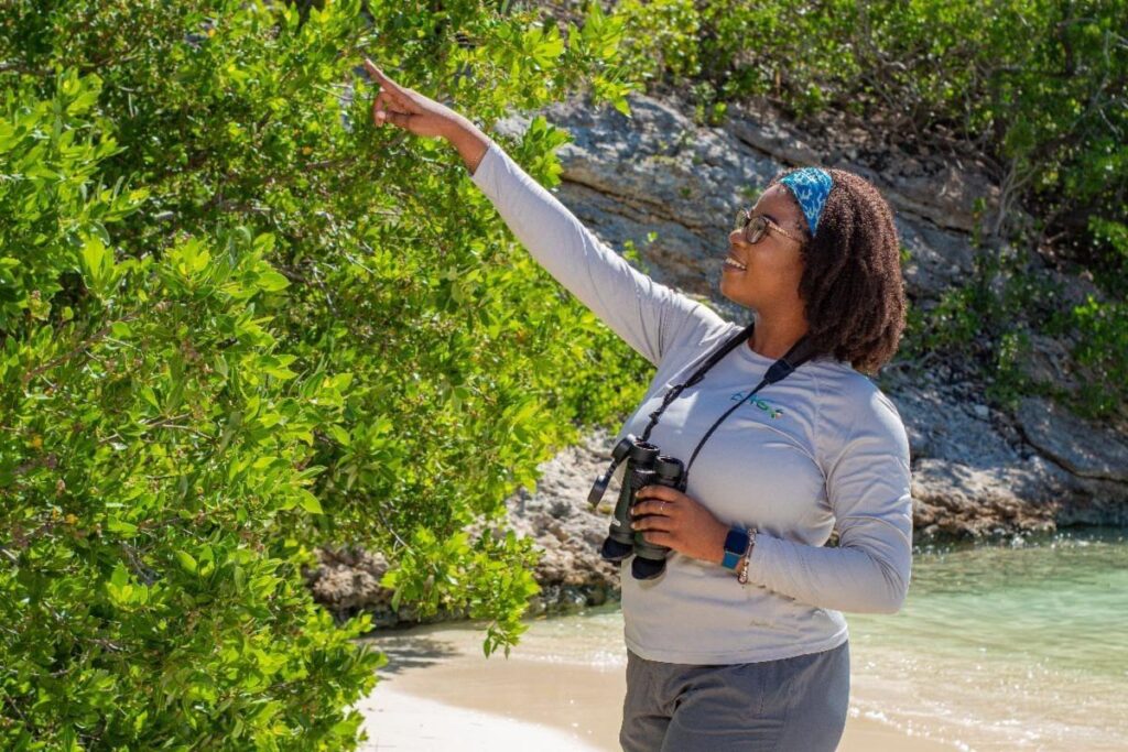 Empowering Tomorrow’s Caribbean Environmental Leaders through Education