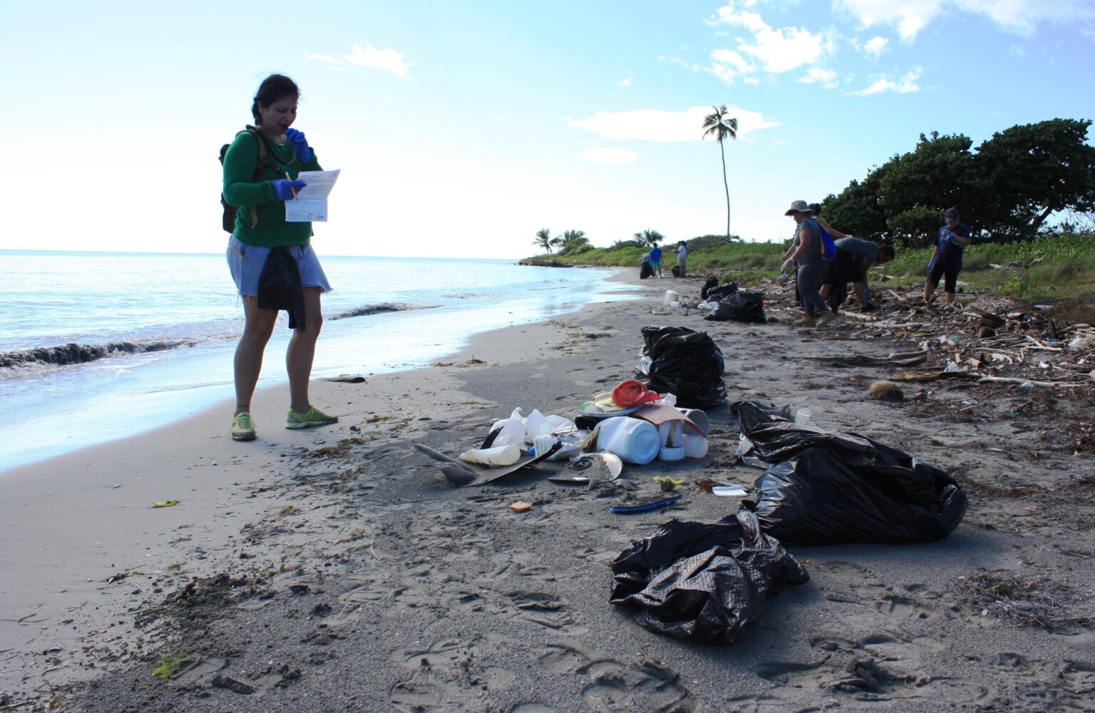 Inspiring Success Stories from Caribbean Island Cleanup Campaigns