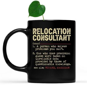 Expert Tips for Choosing a Relocation Consultant for Your Caribbean Move