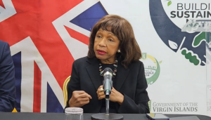 Bank of Asia appeal to Governor just a “political show” — Smith