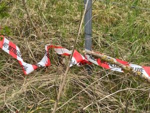 Dutch police investigate dark web murderer-for-hire contracts