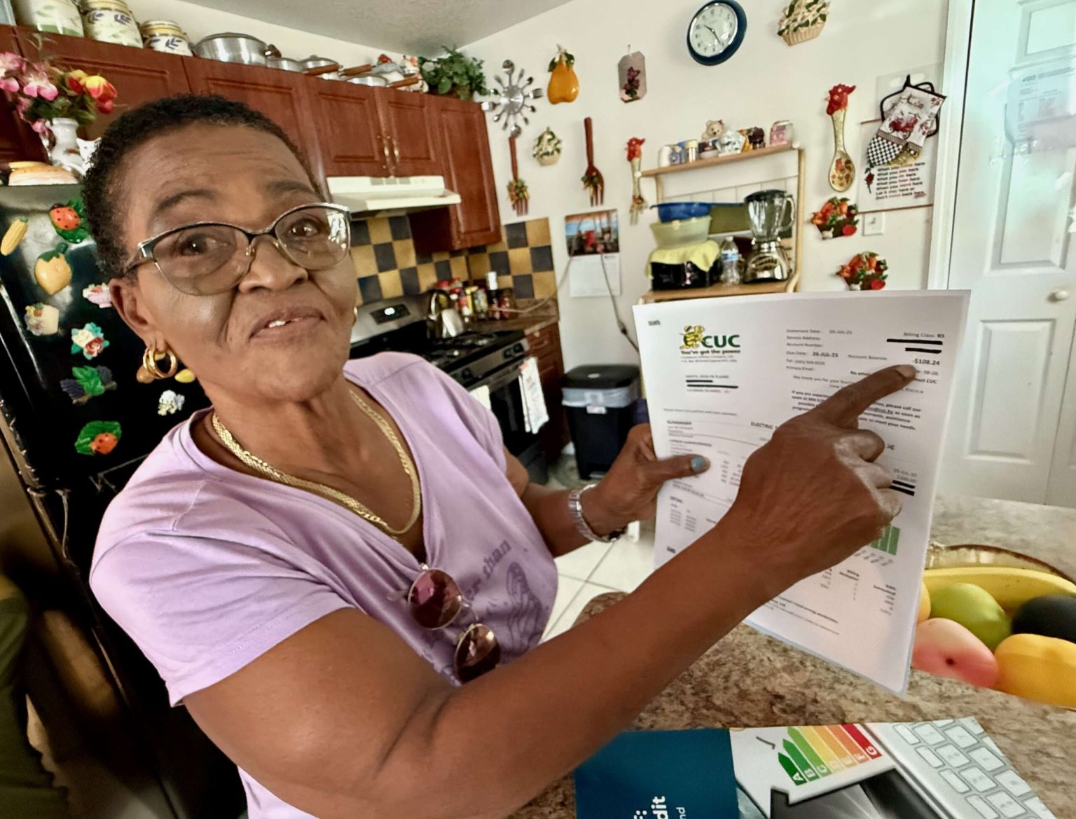 Meet the residents turning a profit on their power bills