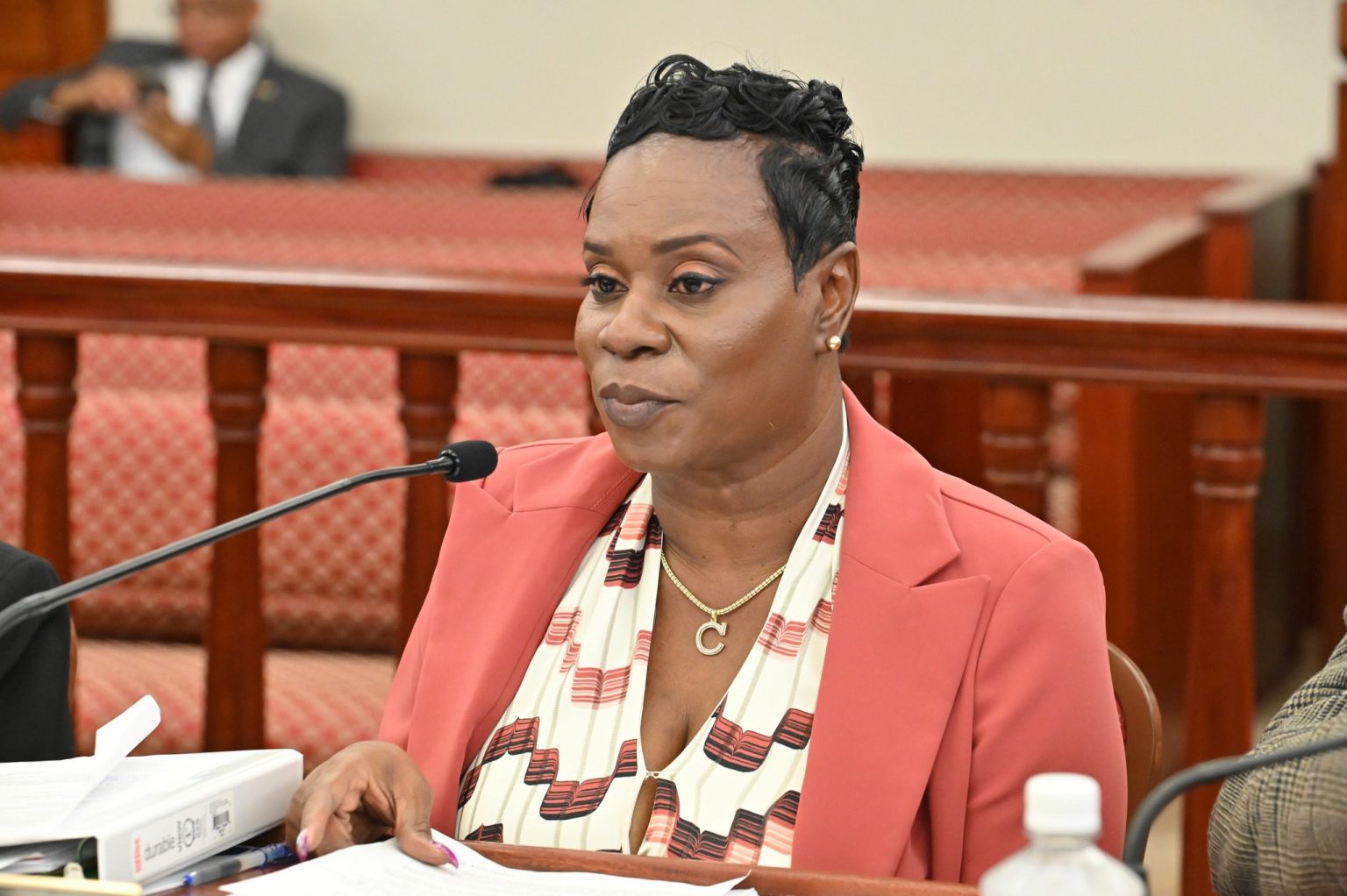 Salaries Raise Eyebrows at School Construction and Maintenance Bureau’s First Budget Hearing