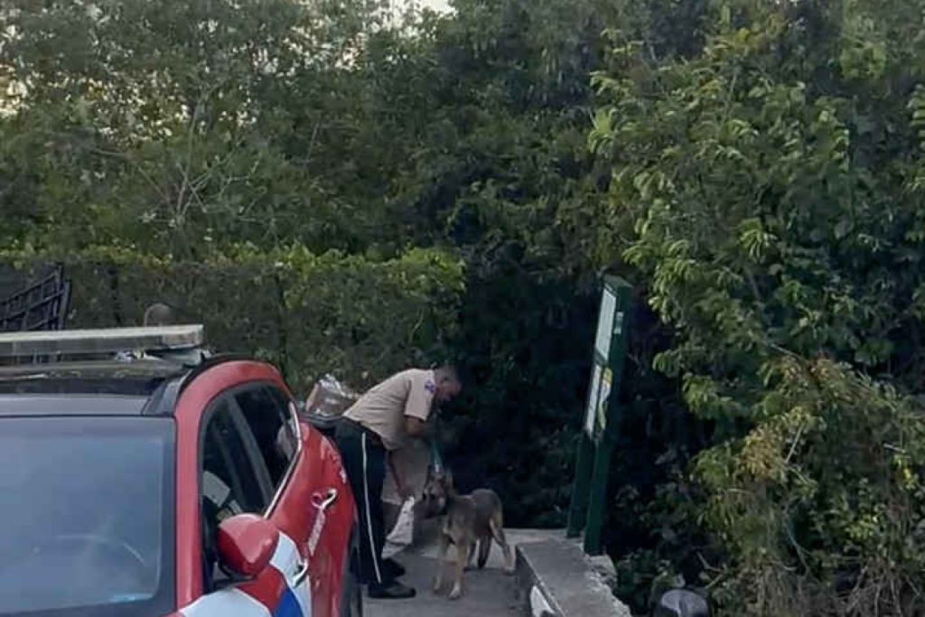 Sniffer dogs called in as search for missing Saban goes into third day | THE DAILY HERALD