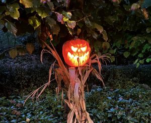 Walibi pulls horror advert after backlash over femicide