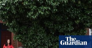 ‘Gift from Grenada’: grapefruit trees win protection after London campaign | London