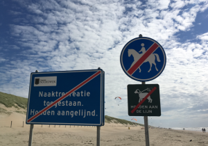 If you want me to keep my clothes on, improve the water quality