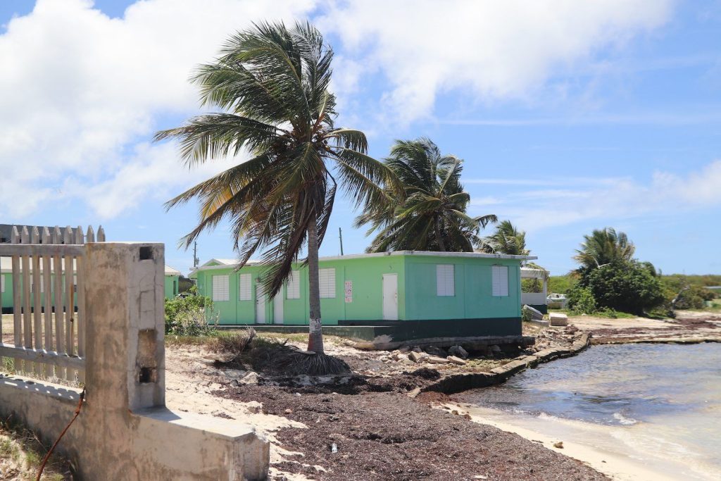 Island Harbour cleared of sargassum as primary school prepares to reopen – Anguilla Focus Island Harbour cleared of sargassum as primary school prepares to reopen – Anguilla Focus