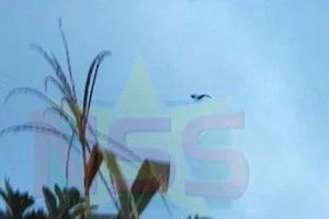 Kans op onweersbuien in de middag