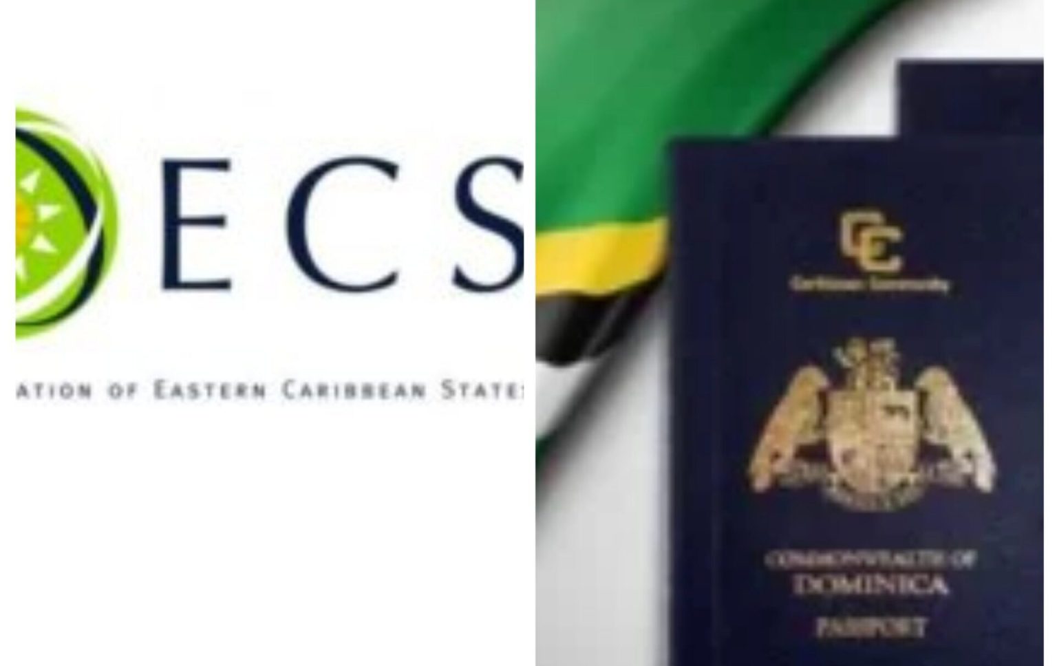 OECS territories roll out agreement for Citizen By Investment standardization and transparency