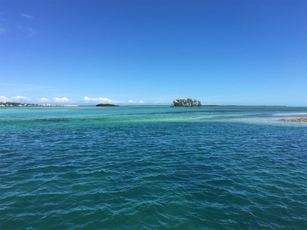 These Caribbean Resorts Are Perfect for Snorkeling Lovers, From Antigua to Bonaire to The Bahamas