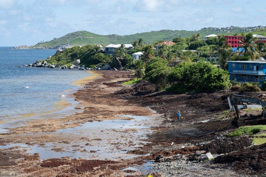 VI swamped by record sargassum