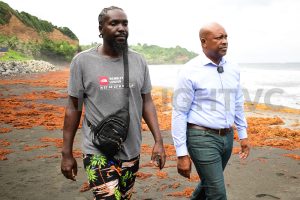 Villager recounts rescue of boy in treacherous Sans Souci waters