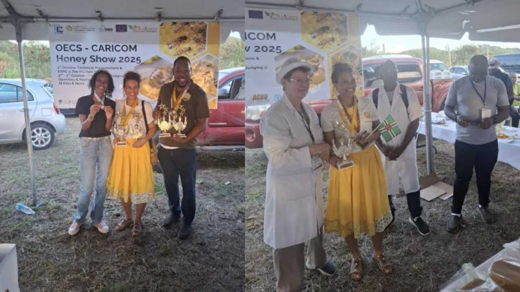 Dominican beekeepers lead the region with ten awards at 2025 OECS Honey Show