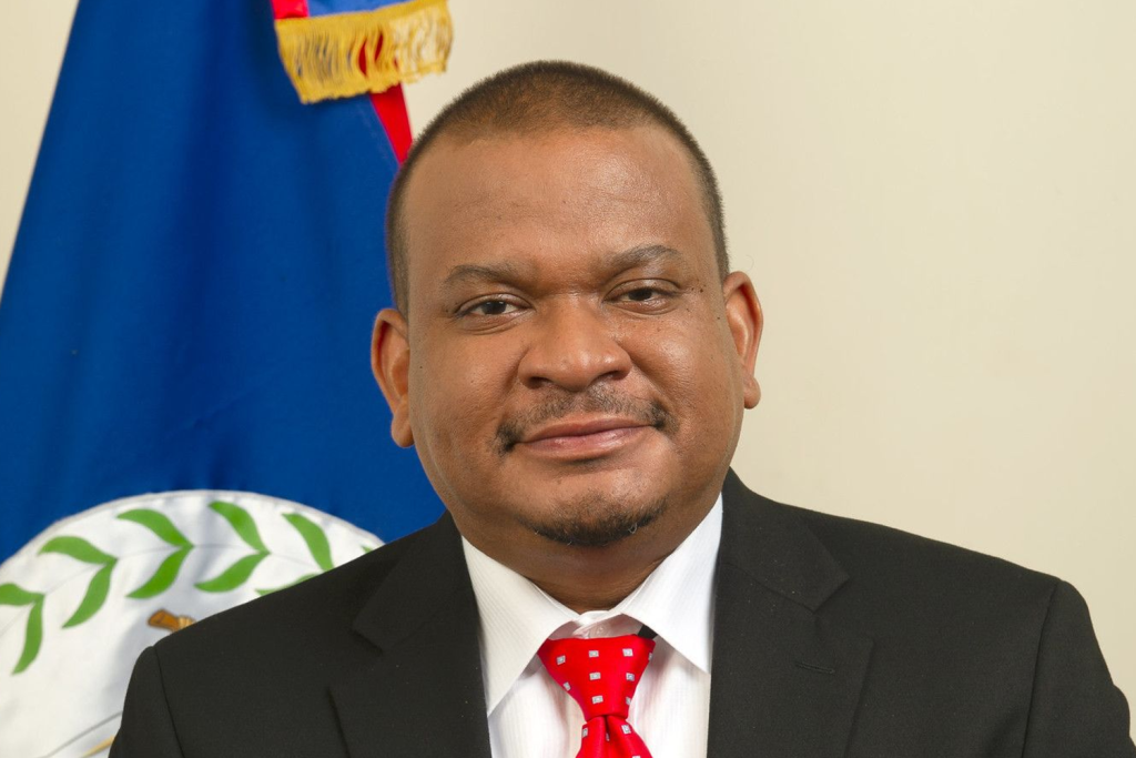 Faber warns taxpayers will bear cost of Fortis Belize purchase for years Faber warns taxpayers will bear cost of Fortis Belize purchase for years