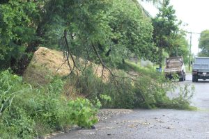 Impact of TS Jerry – Antigua Observer Newspaper Impact of TS Jerry – Antigua Observer Newspaper