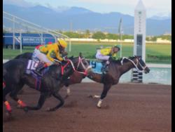 Legacy Isle outlasts field to claim Gold Cup | Sports Legacy Isle outlasts field to claim Gold Cup | Sports