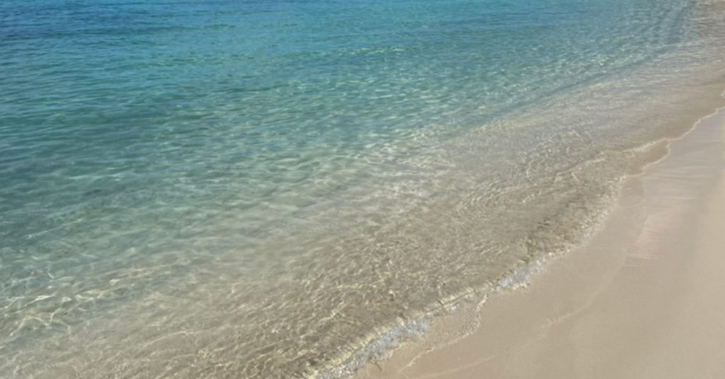 American Airlines Resumes Montego Bay Flights, Maintaining Daily Kingston and Ocho Rios Service