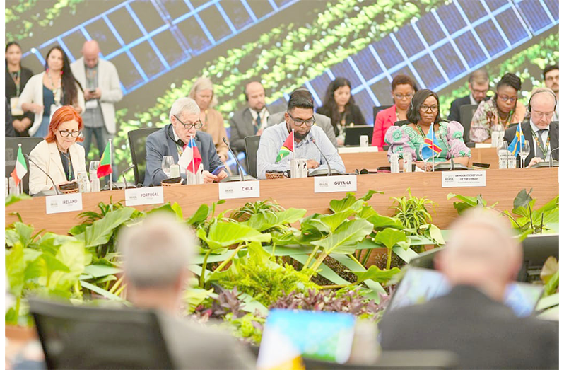 Balanced, fair energy transition must not protect the wealthy Balanced, fair energy transition must not protect the wealthy