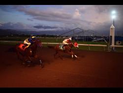 Mighty Gully, Prince Amaan upstage foreigners | Sports Mighty Gully, Prince Amaan upstage foreigners | Sports