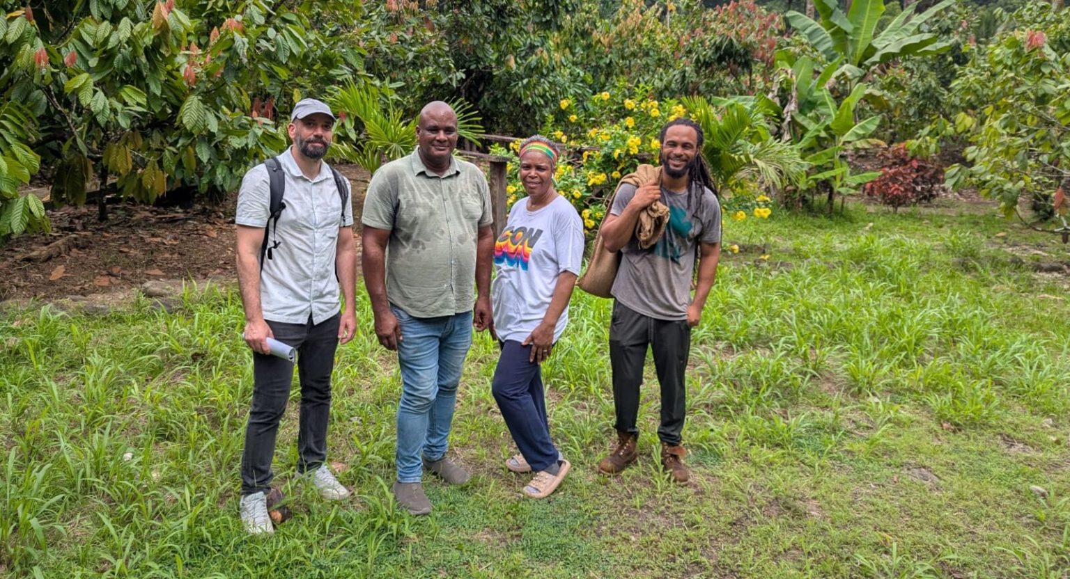 UN’s Food and Agriculture Organization wraps-up cocoa mission to Dominica, St Lucia, St Vincent-Grenadines, and Grendada