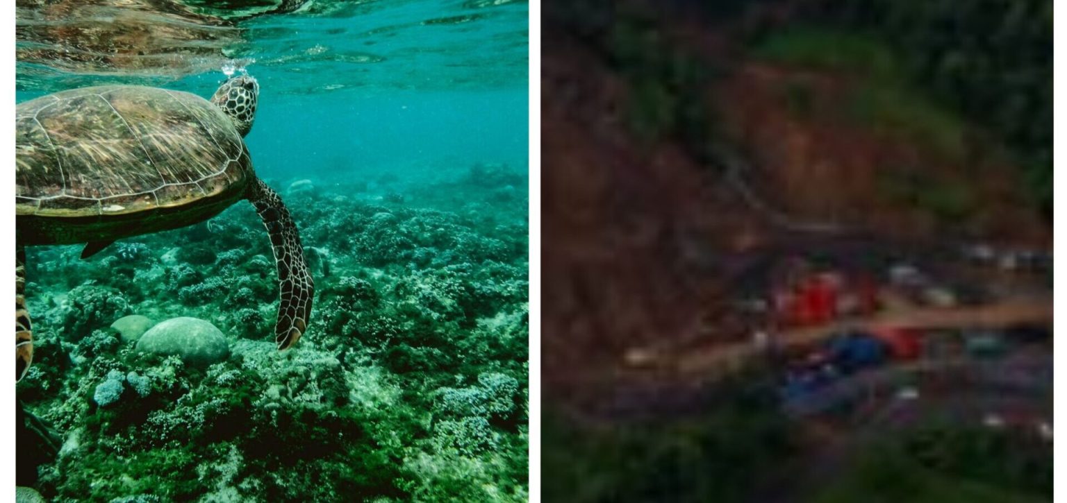 Dominica Hotel and Tourism Association lends its voice to the Deaux Branche mining issues as well as ‘northern marina discharge’