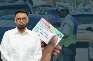 Gov’t to publish names of drivers who bypassed licensing system