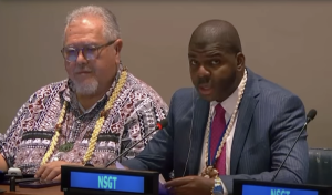 How to hold a referendum