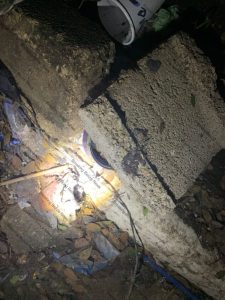 Major search operation leads to discovery of hidden cannabis stash in Orange Walk