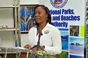 NPRB urges attendance at Nine Nights