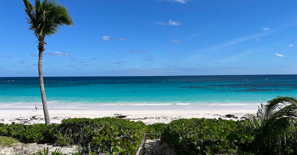 Pink Sand on Harbour Island Pink Sand on Harbour Island