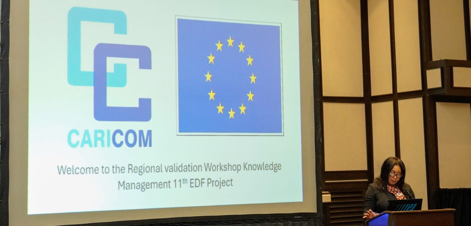 Regional IT stakeholders evaluate the CARICOM Knowledge Management Web Portal and Framework