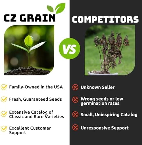 Caribbean Tulip Bulbs for Planting - Perennial Gar... - Image 4