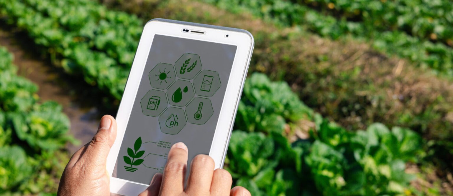 Cabinet authorizes creation of new agricultural land lease program aimed at supporting young farmers Cabinet authorizes creation of new agricultural land lease program aimed at supporting young farmers