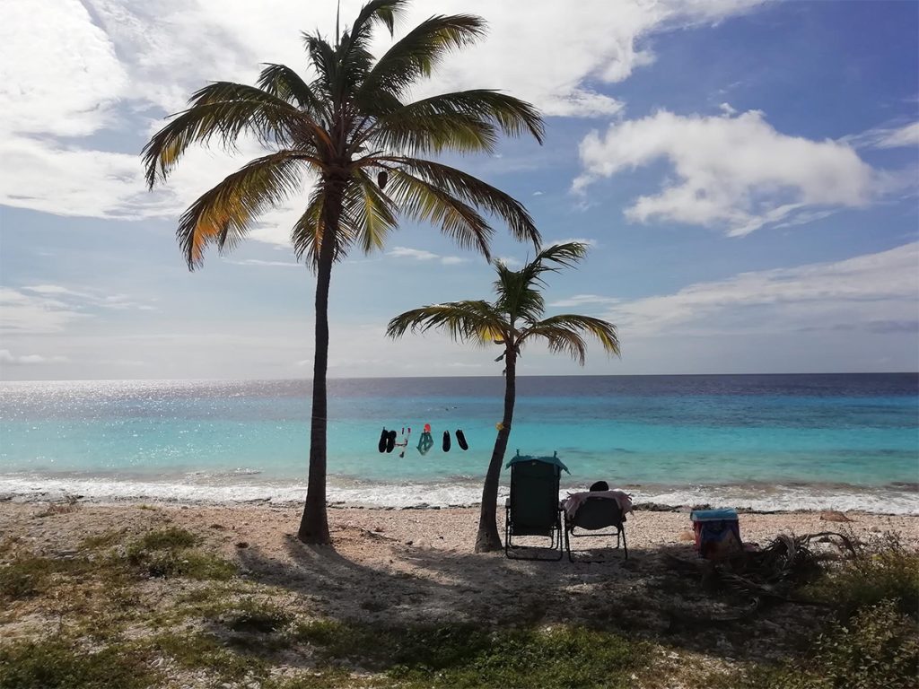 Caribbean Photo of the Week: Pink Beach, Bonaire