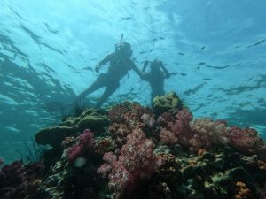 Dominican Republic among the best Caribbean countries for diving: here’s where to go