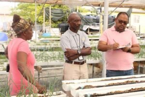 FAO Mission Helps Farmers And Stakeholders Explore Investment Potential And Readiness Of Protected Agriculture Farms In Antigua And Barbuda