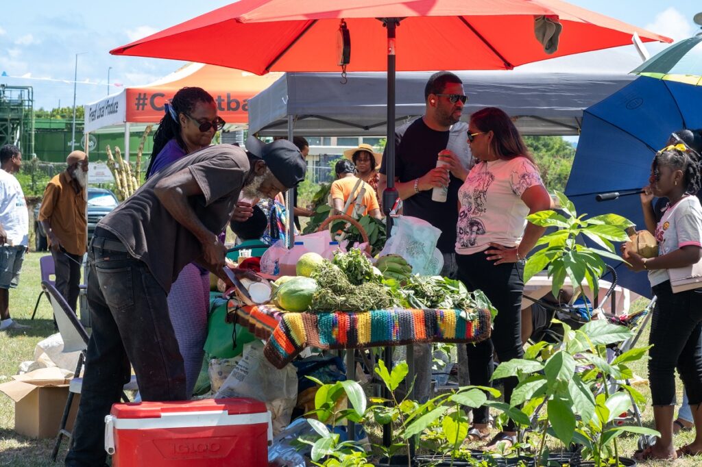 Farming, fishing grants launched – The BVI Beacon