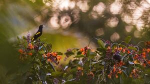 Learning from the source – Trinidad and Tobago Newsday