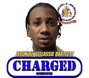 Man charged with firearm, ammunition offences