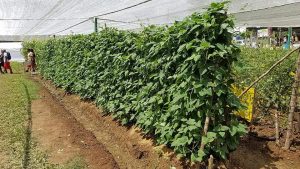 National Agriculture and Trade Show set for May 1–3, 2026